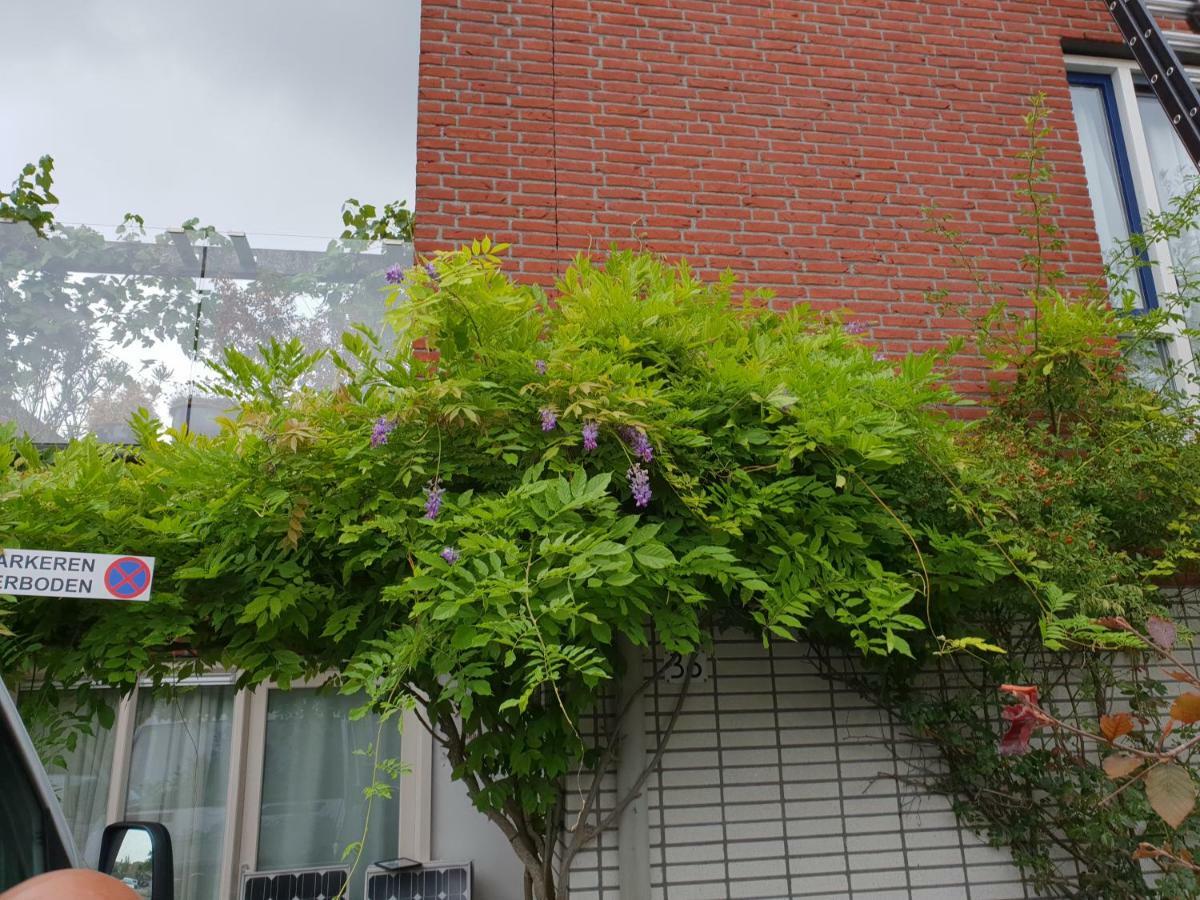 Johan'S B&B, Dakterras & Goedkoop Parkeren - Sinds 2014 Amszterdam Kültér fotó